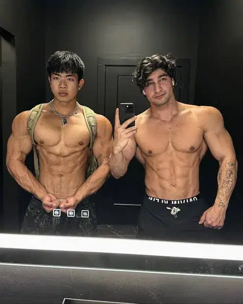 Mirror physique